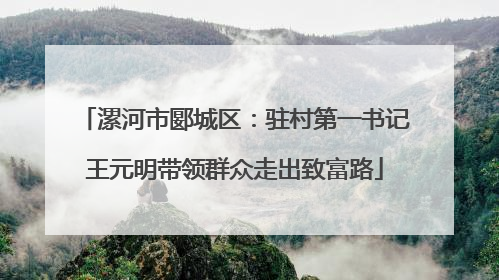 漯河市郾城区：驻村第一书记王元明带领群众走出致富路