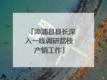 漳浦县县长深入一线调研荔枝产销工作