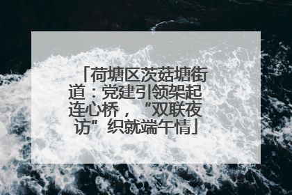 荷塘区茨菇塘街道：党建引领架起连心桥，“双联夜访”织就端午情