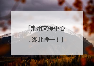 荆州文保中心，湖北唯一！