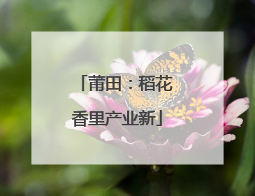 莆田：稻花香里产业新