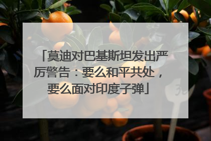 莫迪对巴基斯坦发出严厉警告：要么和平共处，要么面对印度子弹