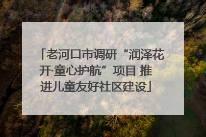老河口市调研“润泽花开·童心护航”项目 推进儿童友好社区建设