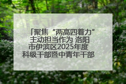 聚焦“两高四着力” 主动担当作为 洛阳市伊滨区2025年度科级干部暨中青年干部培训班开班