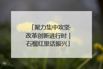 聚力集中攻坚·改革创新进行时｜石榴红里话振兴