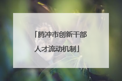 腾冲市创新干部人才流动机制