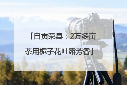 自贡荣县：2万多亩茶用栀子花吐露芳香