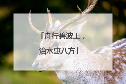 舟行碧波上，治水惠八方