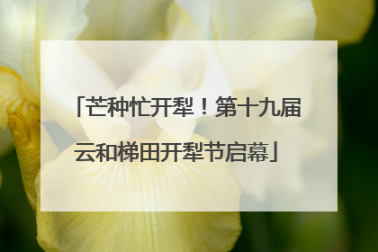 芒种忙开犁！第十九届云和梯田开犁节启幕
