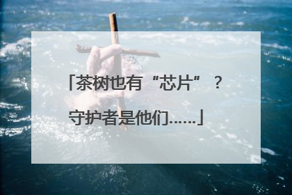 茶树也有“芯片”？守护者是他们……