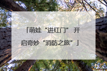 萌娃“进红门” 开启奇妙“消防之旅”