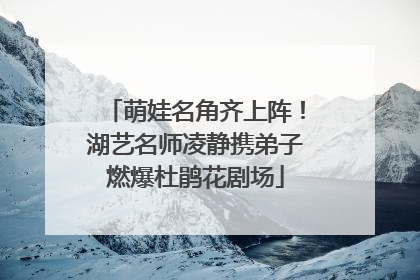 萌娃名角齐上阵！湖艺名师凌静携弟子燃爆杜鹃花剧场