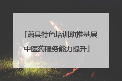 萧县特色培训助推基层中医药服务能力提升