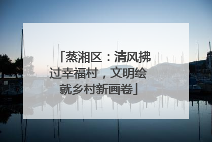 蒸湘区：清风拂过幸福村，文明绘就乡村新画卷