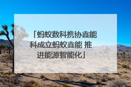 蚂蚁数科携协鑫能科成立蚂蚁鑫能 推进能源智能化