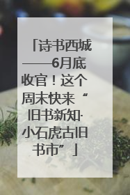 诗书西城——6月底收官！这个周末快来“旧书新知·小石虎古旧书市”