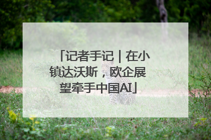 记者手记｜在小镇达沃斯，欧企展望牵手中国AI