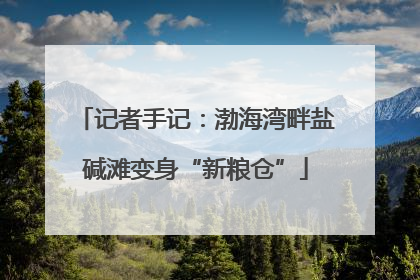 记者手记：渤海湾畔盐碱滩变身“新粮仓”