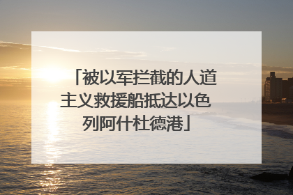 被以军拦截的人道主义救援船抵达以色列阿什杜德港