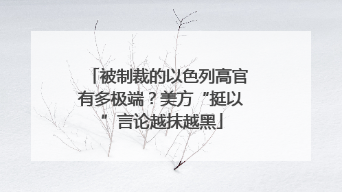 被制裁的以色列高官有多极端？美方“挺以”言论越抹越黑