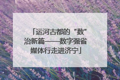 运河古都的“数”治新篇——数字强省媒体行走进济宁
