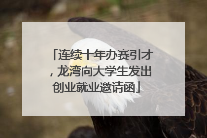 连续十年办赛引才，龙湾向大学生发出创业就业邀请函