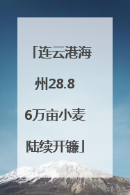 连云港海州28.86万亩小麦陆续开镰