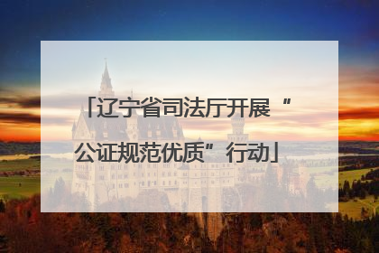 辽宁省司法厅开展“公证规范优质”行动