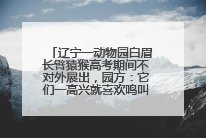 辽宁一动物园白眉长臂猿猴高考期间不对外展出，园方：它们一高兴就喜欢鸣叫，怕影响考试