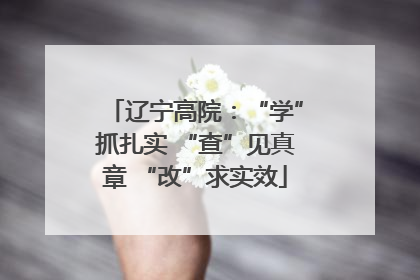 辽宁高院：“学”抓扎实 “查”见真章 “改”求实效