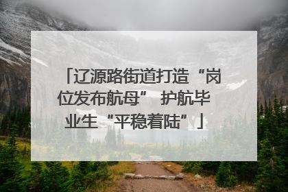 辽源路街道打造“岗位发布航母” 护航毕业生“平稳着陆”