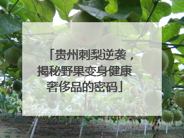 贵州刺梨逆袭，揭秘野果变身健康奢侈品的密码