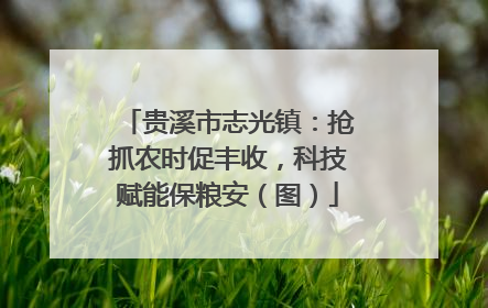 贵溪市志光镇：抢抓农时促丰收，科技赋能保粮安（图）