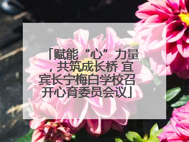 赋能“心”力量，共筑成长桥 宜宾长宁梅白学校召开心育委员会议