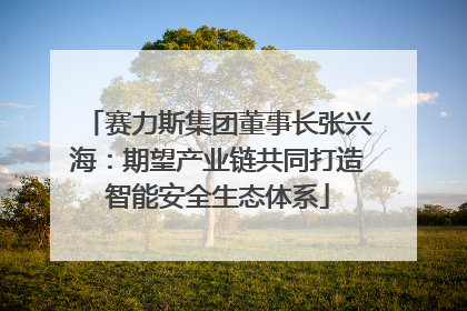 赛力斯集团董事长张兴海：期望产业链共同打造智能安全生态体系