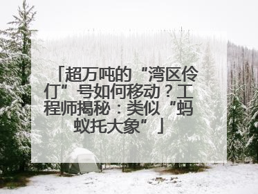 超万吨的“湾区伶仃”号如何移动？工程师揭秘：类似“蚂蚁托大象”