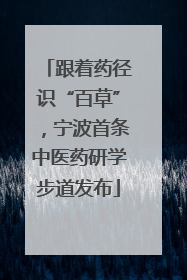 跟着药径识“百草”，宁波首条中医药研学步道发布