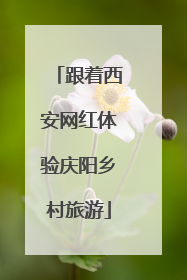 跟着西安网红体验庆阳乡村旅游