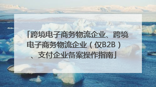 跨境电子商务物流企业、跨境电子商务物流企业（仅B2B）、支付企业备案操作指南