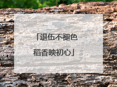 退伍不褪色 稻香映初心