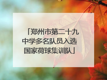 郑州市第二十九中学多名队员入选国家荷球集训队