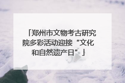 郑州市文物考古研究院多彩活动迎接“文化和自然遗产日”