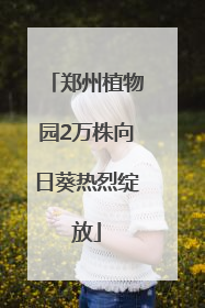 郑州植物园2万株向日葵热烈绽放