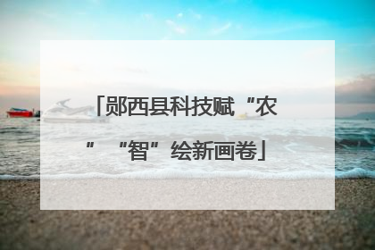 郧西县科技赋“农”“智”绘新画卷