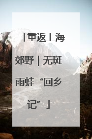 重返上海郊野｜无斑雨蛙“回乡记”
