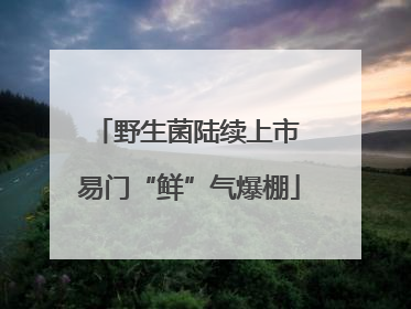 野生菌陆续上市 易门“鲜”气爆棚