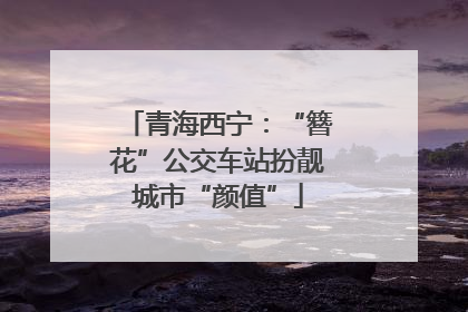 青海西宁：“簪花”公交车站扮靓城市“颜值”