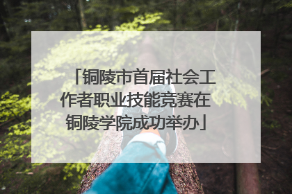 铜陵市首届社会工作者职业技能竞赛在铜陵学院成功举办