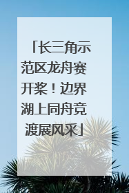 长三角示范区龙舟赛开桨！边界湖上同舟竞渡展风采