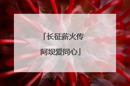 长征薪火传 阿坝爱同心
